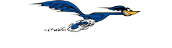 Roadrunner security systems Logo